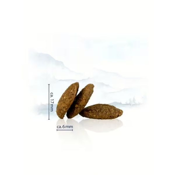 Nimetoen-malli721-4